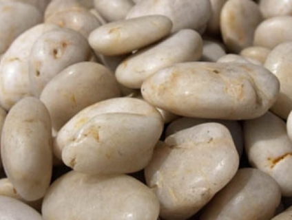 SỎI CUỘI SUỐI TRANG TRÍ NHIỀU MÀU