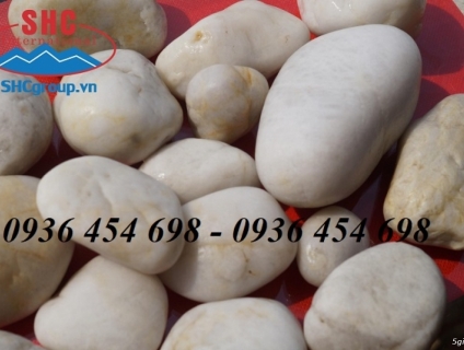 Sỏi tự nhiên trang trí cây cảnh
