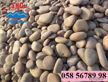 SỎI CUỘI SUỐI TRANG TRÍ NHIỀU MÀU