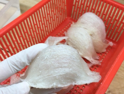 Tổ Yến Rút Lông Khô Nguyên Tổ - 100G | HẢI VÂN YẾN