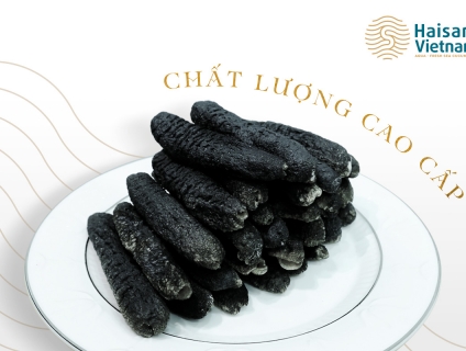 Hải Sâm Cát Sấy Khô giá tốt tại hệ thống 5giay.vn