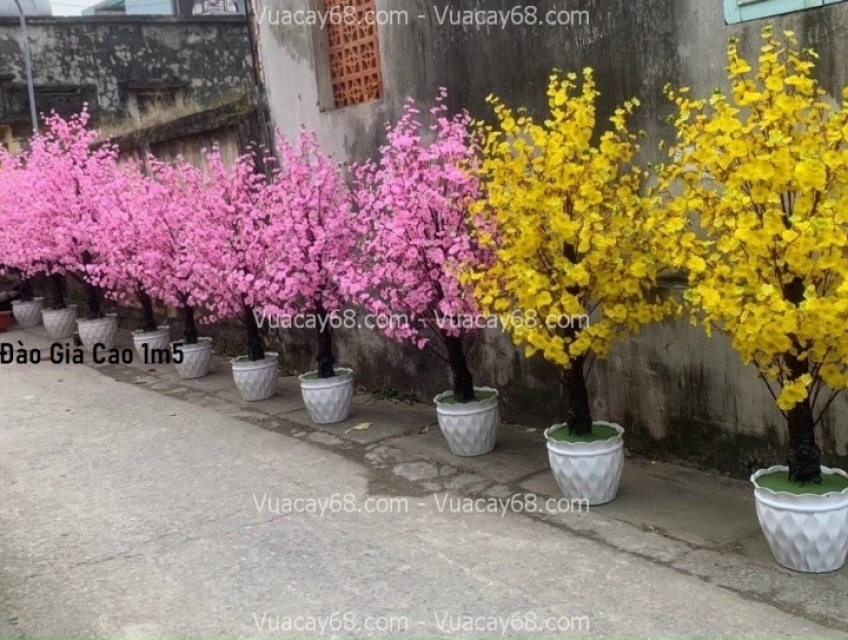 Cho Thuê Cây Cổ Thụ Giả Quận 1 Đẹp Như Thật Đẹp Giá Rẻ.