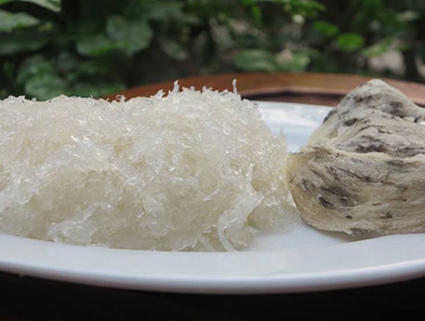 Mua Yến Tươi Ở Đâu Giá Rẻ?