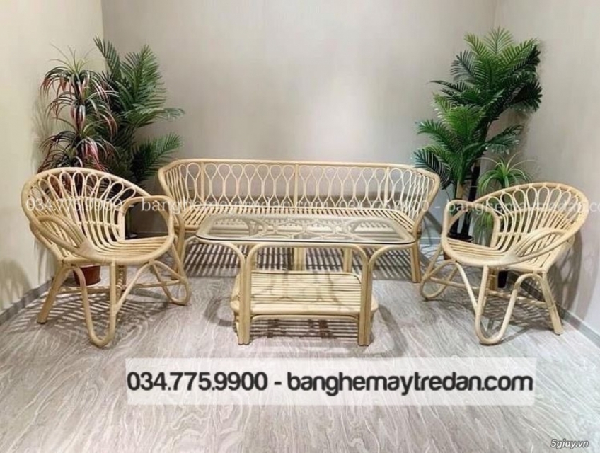 Nội thất Mây tre đan cao