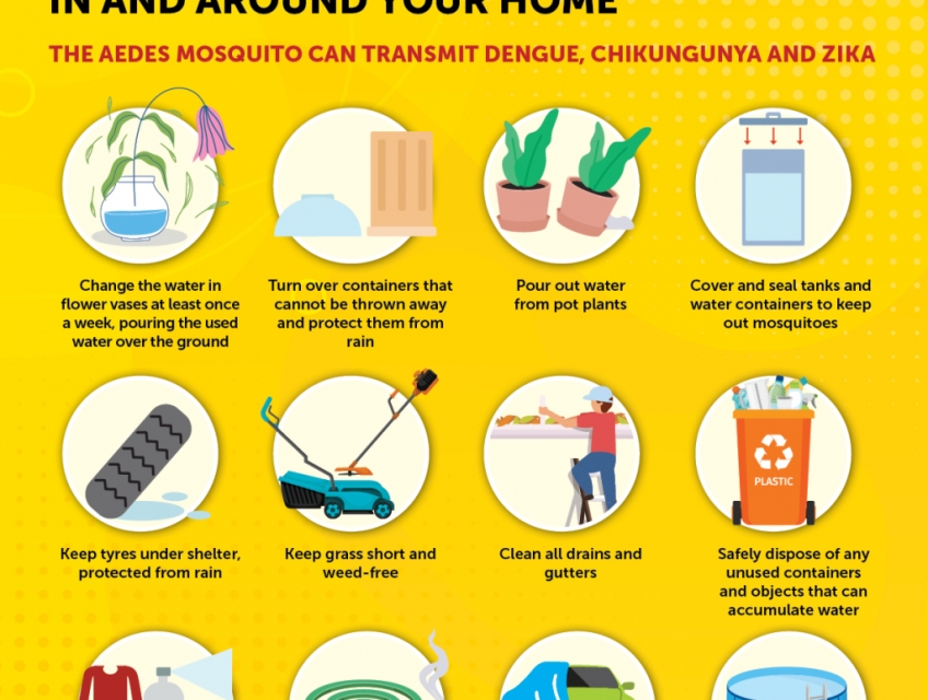 7 cách phòng tránh muỗi đốt an toàn và hiệu quả