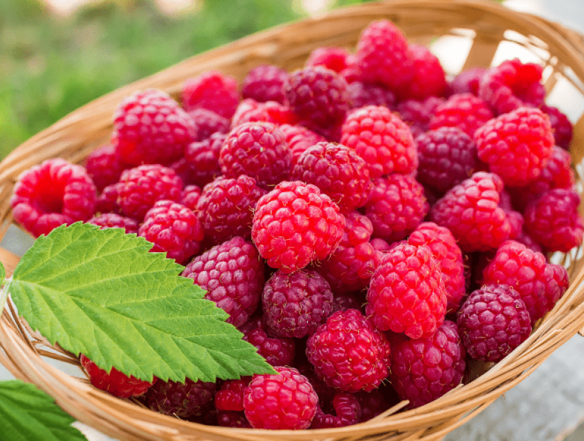 Sinh Tố Phúc Bồn Tử tại Fruit Farmer