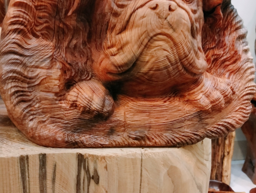 chó bully dogs 0915950997