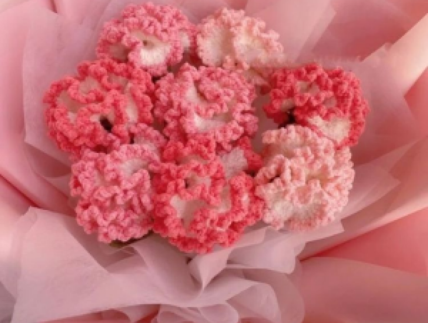 Hoa Cẩm Chướng Len | Bó Hoa Cẩm Chướng Bằng Len Handmade