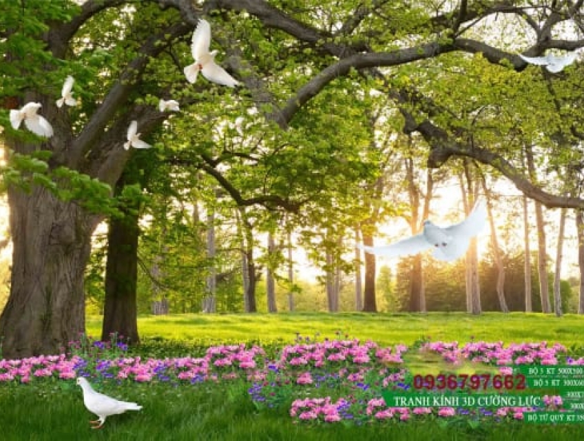 Tạo không gian tập luyện chuyên nghiệp với tranh kính 3D