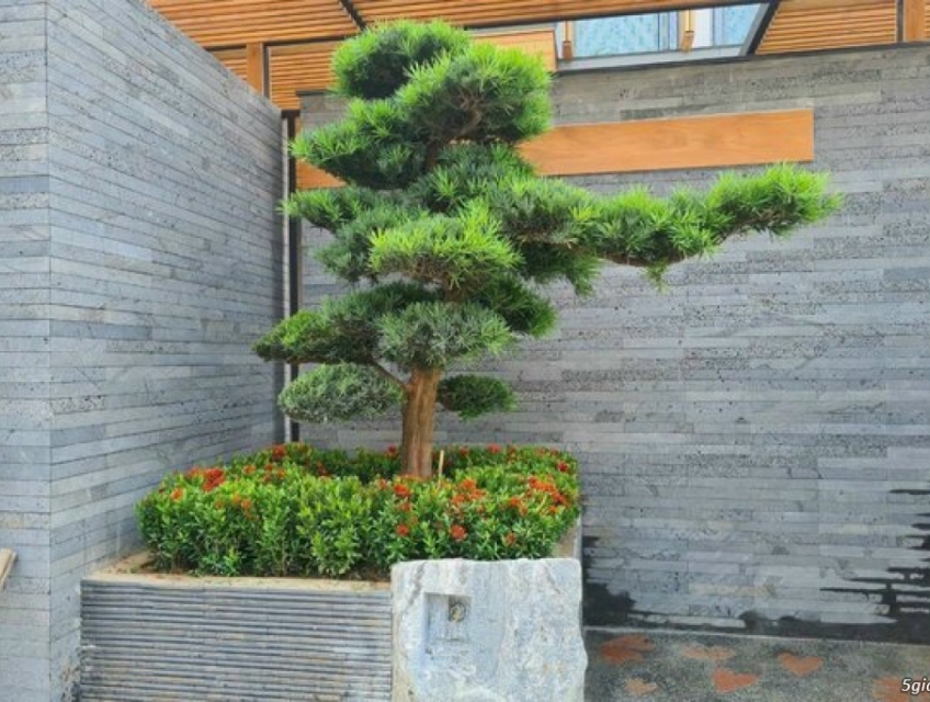 Đá ong xám ốp tường trang trí giá tốt từ 150.000 đ/m2