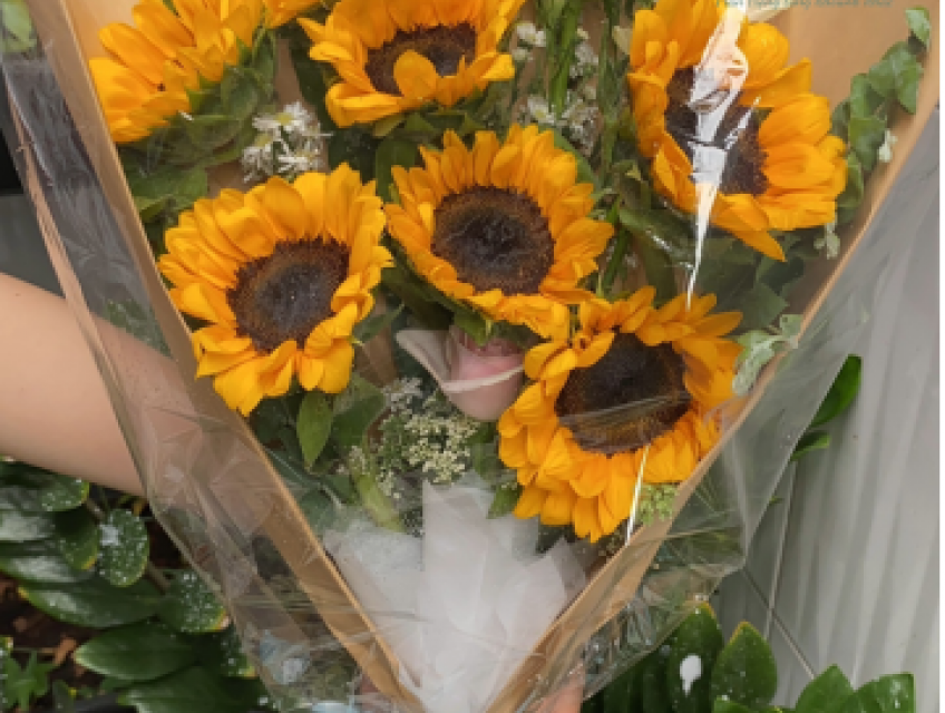 Hoa hướng dương cho lễ tốt nghiệp