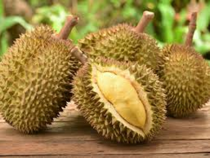 Cách chọn sầu riêng chín cây, thơm ngon, ngọt béo