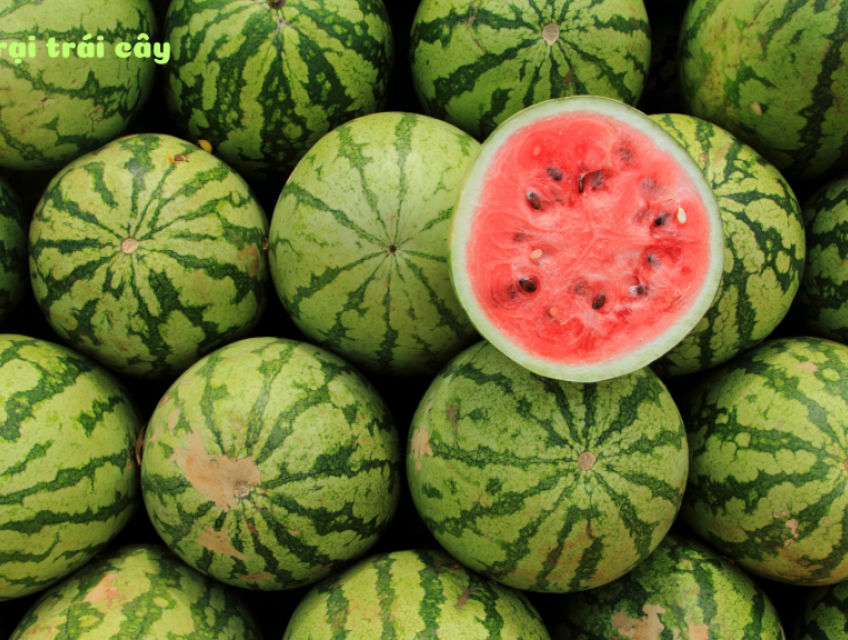 Liệu bị sốt ăn dưa hấu được không