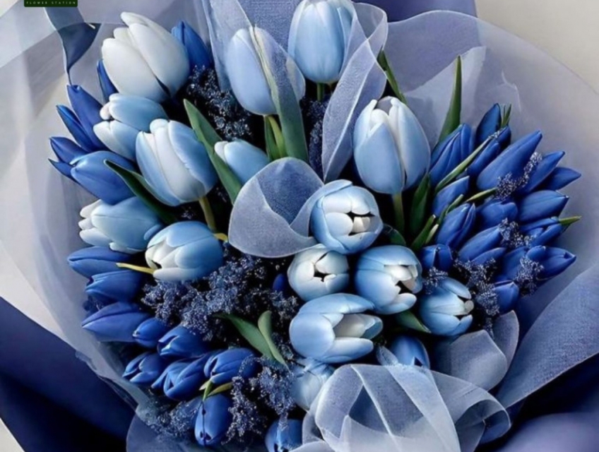 Hoa Tulip Xanh - Biểu Tượng Của Tình Yêu Bền Chắc Và Niềm Hy Vọng