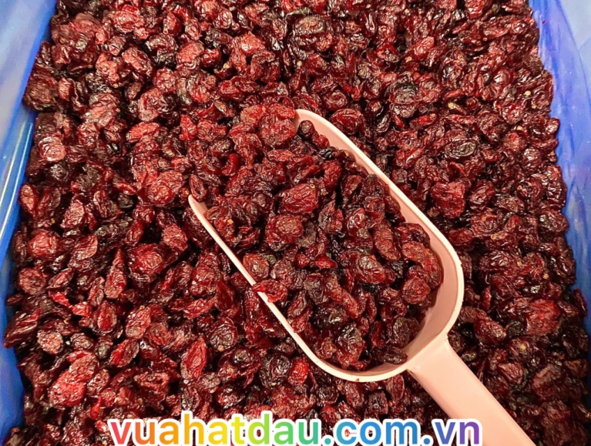 Nam việt quất sấy khô 11.34kg/thùng - Canada chính hãng
