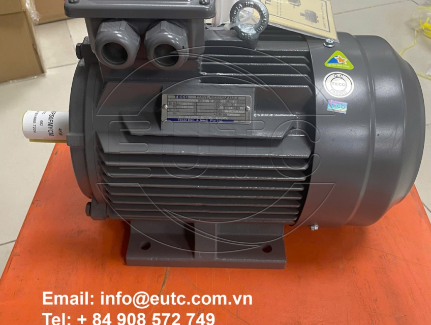 Động Cơ Điện Teco