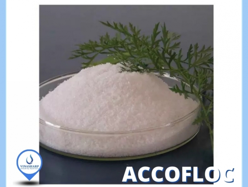 Accofloc - hóa chất trợ lắng, siêu lắng tụ Nhật Bản