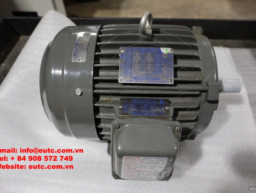 Động cơ điện Teco
