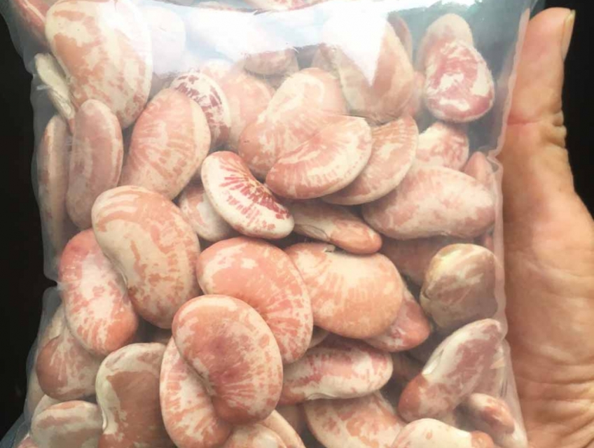 Đậu Ngự Tươi Đà Lạt - Hạt To, Bùi, Thích Hợp Nấu Chè Và Món Hầm