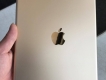 iPad Air 2 4G 16Gb Gold zin nguyên cây