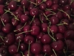 Cherry Canada