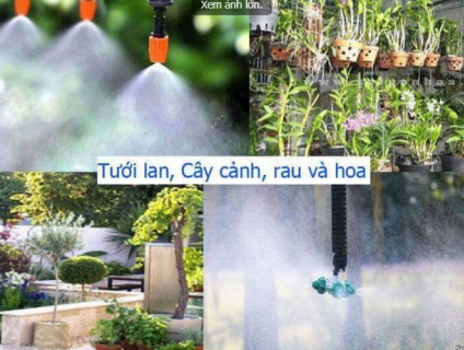 Bộ bơm phun sương tưới lan