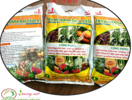 Nấm đối kháng Trichoderma bacillus tạ Hà Nội