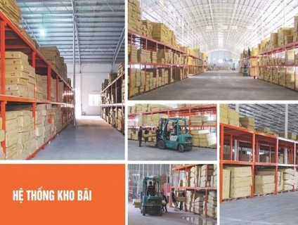 Mạng Lưới Trung Tâm Phân Phối Tiếp Cận Thị Trường