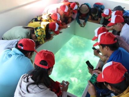 Chương trình tour lễ 2-9 du lịch Nha Trang 3 ngày 3 đêm - Vịnh San Hô