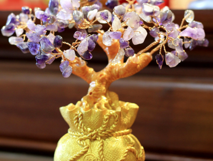 Cây phong thủy để bàn mang lại nhiều tài lộc may mắn