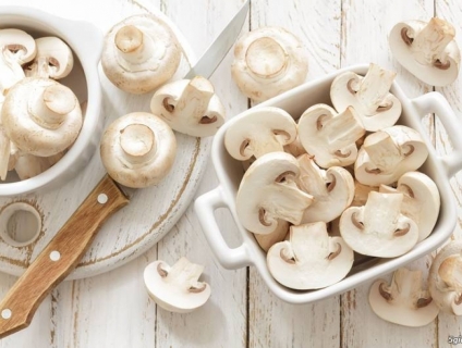 NẤM MỠ, loại nấm cao cấp từ Lâm Đồng