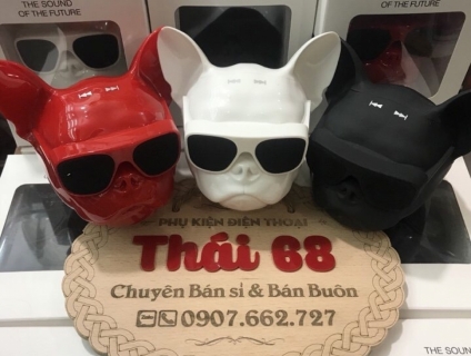 LOA AEROBULL GIÁ 320k