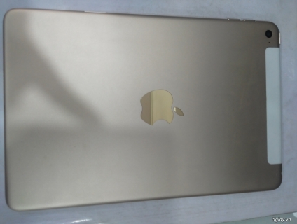 iPad mini 4 4G 16gb