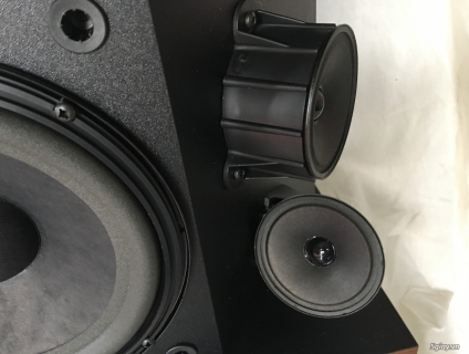 Loa Bose 4.2 series ii walnut