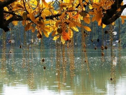 Báo giá vé máy bay đi Hà Nội tháng 8/2016