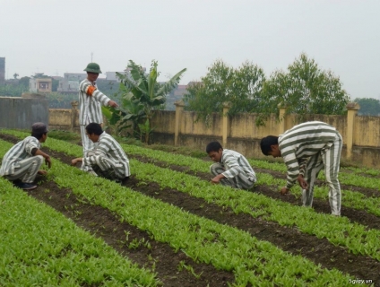 Ở đời,cái gì cũng có cái giá của nó.