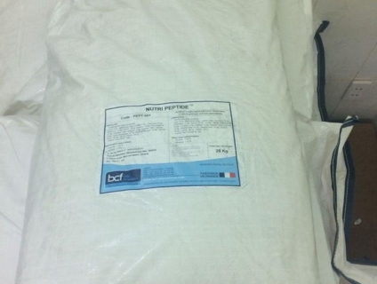 NUTRI PEPTIDE – ĐẠM TINH (ACID AMIN) TĂNG TRƯỞNG NHANH