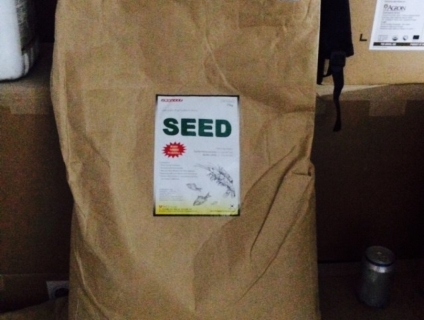 MEN SEED - Men sống đường ruột