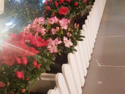 Thiết kế ban công chung cư, sân vườn, tiểu cảnh lớn nhỏ