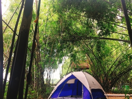 Lều trại đi dã ngoại bật tự động Gazelle Outdoors GL1666