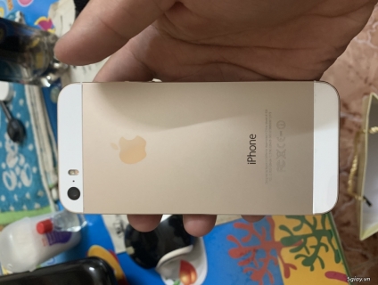 Bán 5s gold 16gb
