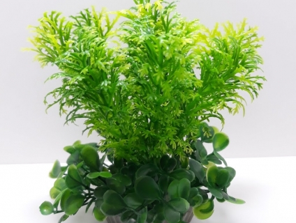 Chuyên cung cấp số lượng lớn cây nhựa thủy sinh trang trí hồ cá .