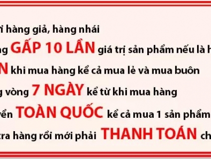 Amply Toa giá rẻ mới nhất 2020