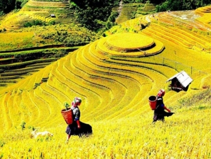 Nên đi Sapa mùa nào??