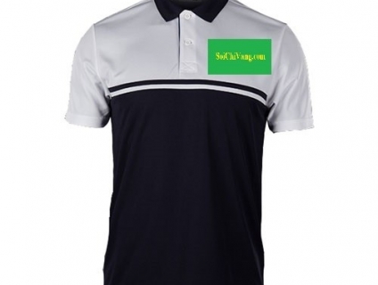 Cần bán Áo thun cá sấu kiểu dáng đẹp tại Quận Tân Bình