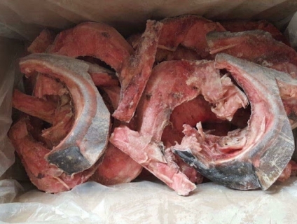 Bán má hàm cá ngừ đại dương số lượng lớn