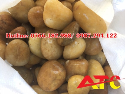 mua sỏi vàng tự nhiên ở đâu Hà Nội