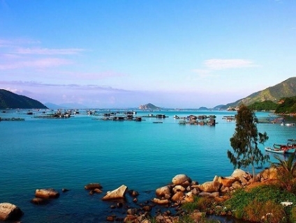 Làm thế nào để tham gia tour du lịch Phú Yên vui nhất