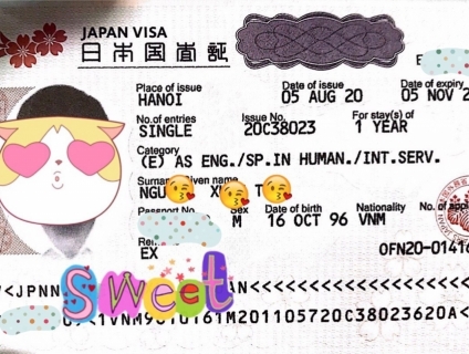 Chuyên visa Nhật các diện