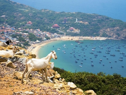 Bạn đã có kinh nghiệm du lịch Bình Ba cho riêng mình